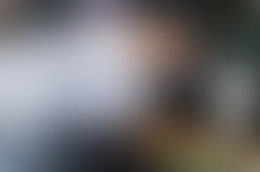 在今年会网站方面，今年会提供贴心周到的支持。 - 今年会