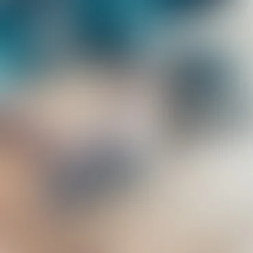 今年会