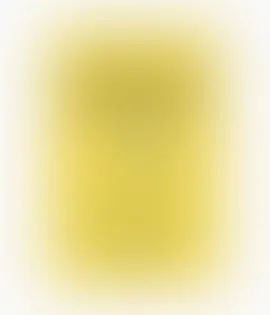 围绕今年会网页版入口，今年会持续打磨更优质的服务。 - 今年会